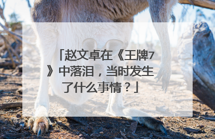 赵文卓在《王牌7》中落泪，当时发生了什么事情？