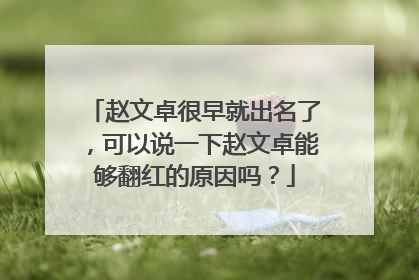 赵文卓很早就出名了，可以说一下赵文卓能够翻红的原因吗？