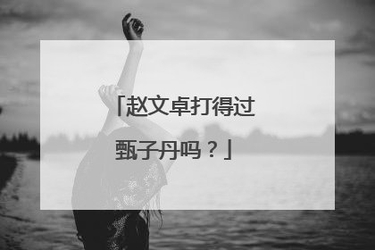 赵文卓打得过甄子丹吗?