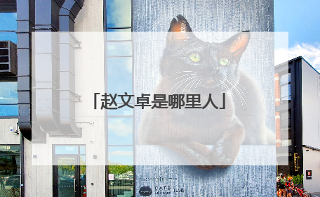 赵文卓是哪里人