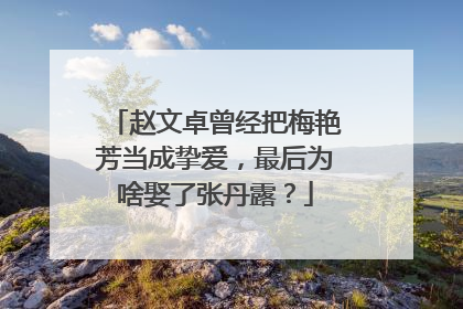 赵文卓曾经把梅艳芳当成挚爱，最后为啥娶了张丹露？