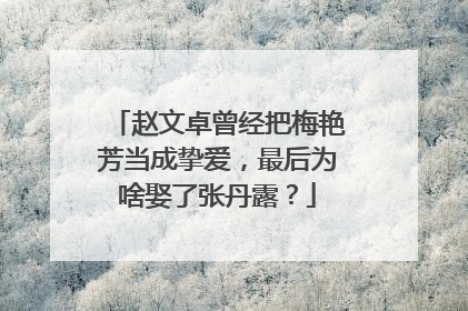 赵文卓曾经把梅艳芳当成挚爱，最后为啥娶了张丹露？