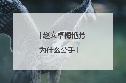 赵文卓梅艳芳为什么分手