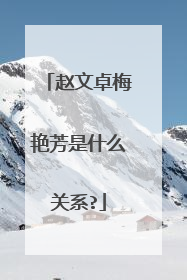 赵文卓梅艳芳是什么关系?