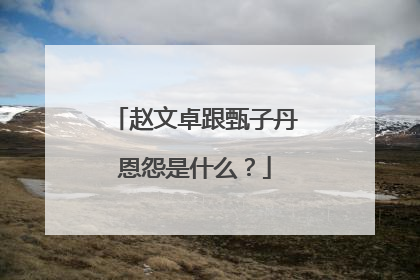 赵文卓跟甄子丹恩怨是什么？