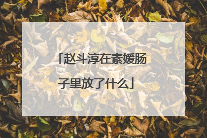 赵斗淳在素媛肠子里放了什么