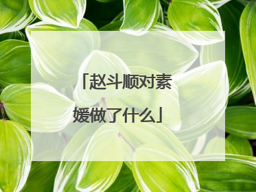 赵斗顺对素媛做了什么