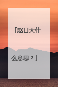 赵日天什么意思？