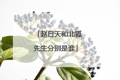 赵日天和北狐先生分别是谁