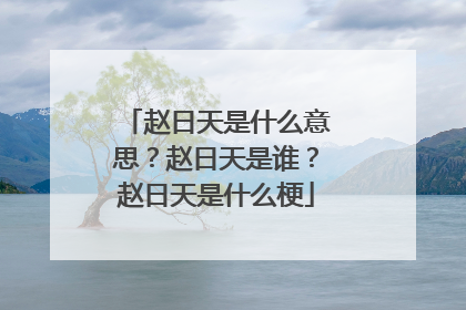 赵日天是什么意思？赵日天是谁？赵日天是什么梗