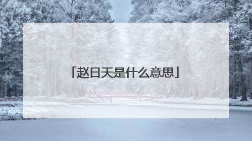 赵日天是什么意思