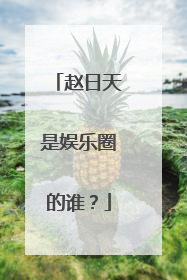 赵日天是娱乐圈的谁？