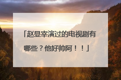 赵显宰演过的电视剧有哪些?他好帅阿!!