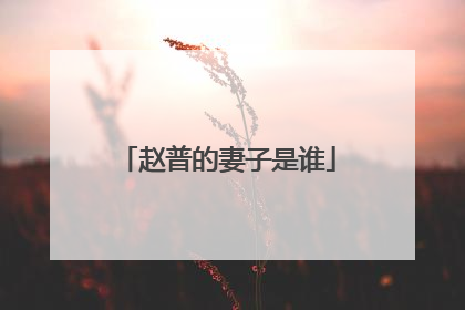 赵普的妻子是谁