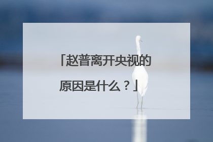 赵普离开央视的原因是什么?