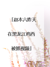 赵本六昨天在黑龙江鸡西被抓视频