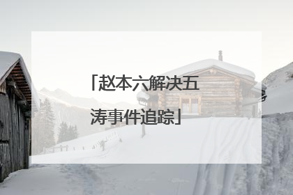赵本六解决五涛事件追踪
