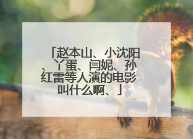赵本山、小沈阳、丫蛋、闫妮、孙红雷等人演的电影叫什么啊、