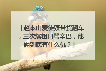 赵本山爱徒疑带货翻车，三次爆粗口骂辛巴，他俩到底有什么仇？