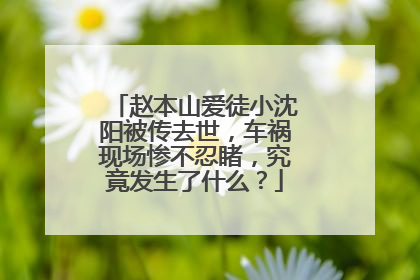 赵本山爱徒小沈阳被传去世,车祸现场惨不忍睹,究竟发生了什么?