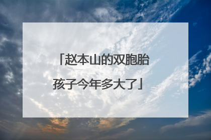 赵本山的双胞胎孩子今年多大了