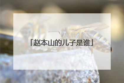 赵本山的儿子是谁