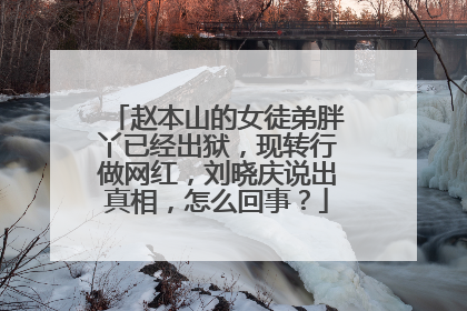 赵本山的女徒弟胖丫已经出狱,现转行做网红,刘晓庆说出真相,怎么回事?