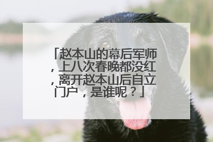 赵本山的幕后军师，上八次春晚都没红，离开赵本山后自立门户，是谁呢？