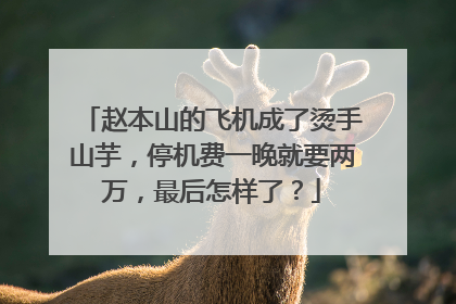 赵本山的飞机成了烫手山芋,停机费一晚就要两万,最后怎样了?