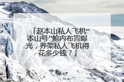 赵本山私人飞机“本山号”舱内布置曝光，养架私人飞机得花多少钱？