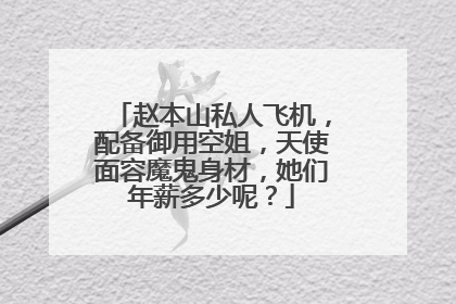 赵本山私人飞机，配备御用空姐，天使面容魔鬼身材，她们年薪多少呢？