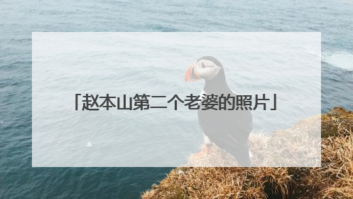 赵本山第二个老婆的照片