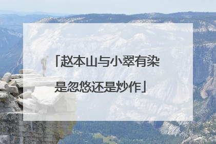 赵本山与小翠有染是忽悠还是炒作