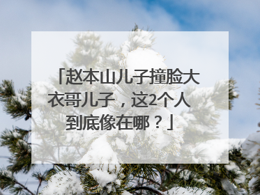 赵本山儿子撞脸大衣哥儿子，这2个人到底像在哪？
