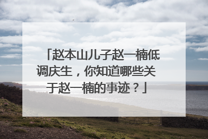 赵本山儿子赵一楠低调庆生，你知道哪些关于赵一楠的事迹？