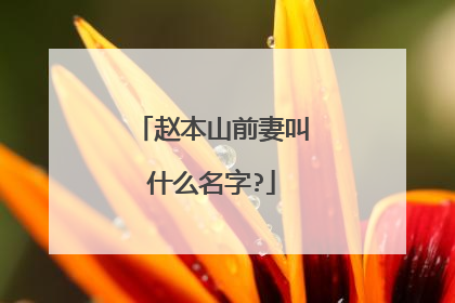 赵本山前妻叫什么名字?