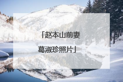 赵本山前妻葛淑珍照片