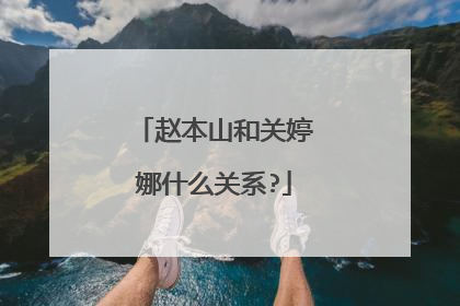 赵本山和关婷娜什么关系?