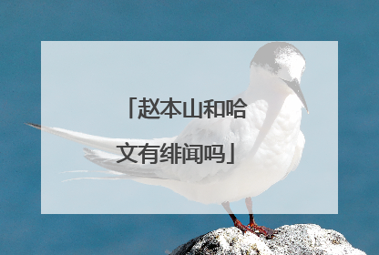 赵本山和哈文有绯闻吗