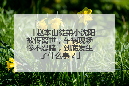 赵本山徒弟小沈阳被传离世,车祸现场惨不忍睹,到底发生了什么事?