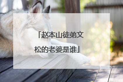 赵本山徒弟文松的老婆是谁