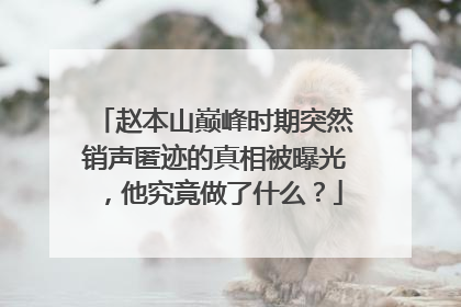 赵本山巅峰时期突然销声匿迹的真相被曝光，他究竟做了什么？