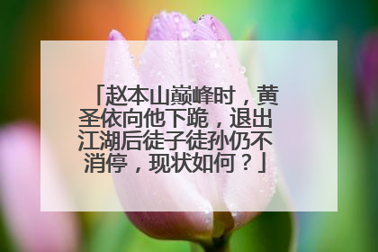 赵本山巅峰时，黄圣依向他下跪，退出江湖后徒子徒孙仍不消停，现状如何？