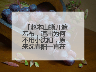 赵本山撕开遮羞布,道出为何不用小沈阳,原来沈春阳一直在骗我们吗?