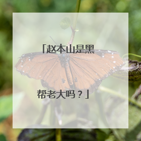 赵本山是黑帮老大吗?