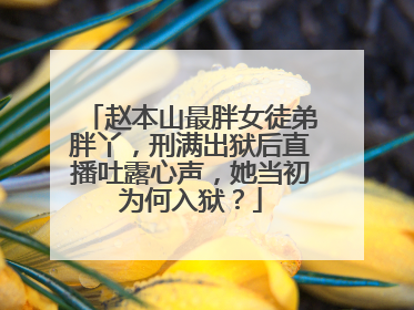 赵本山最胖女徒弟胖丫，刑满出狱后直播吐露心声，她当初为何入狱？