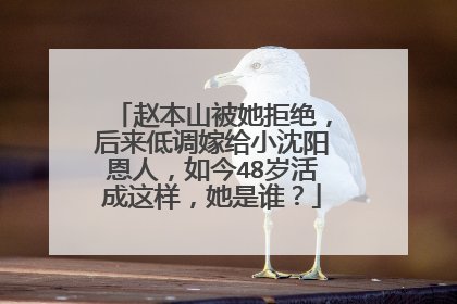 赵本山被她拒绝,后来低调嫁给小沈阳恩人,如今48岁活成这样,她是谁?