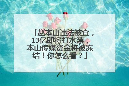 赵本山违法被查，13亿即将打水漂，本山传媒资金将被冻结！你怎么看？