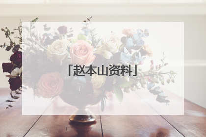赵本山资料