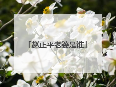 赵正平老婆是谁